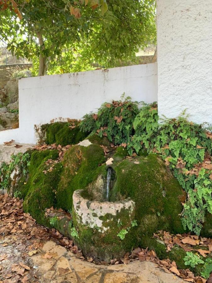 Villa Remedios Cuevas del Becerro 외부 사진